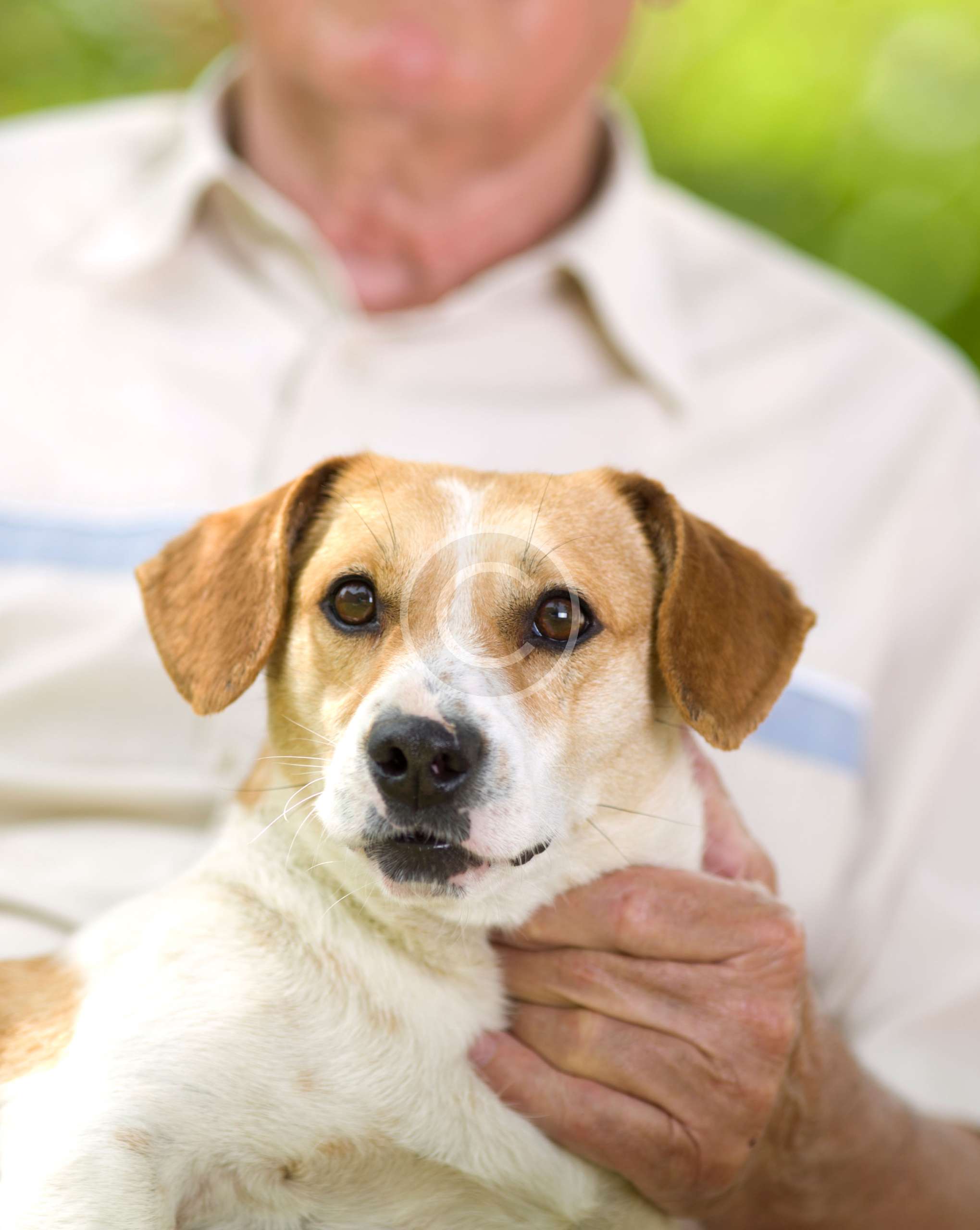 Free or Low-Cost Webinars for Caregivers of Veterans